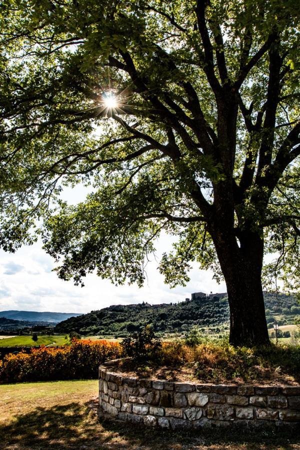 Vakantieboerderij Il Colombaio Agriturismo Montegabbione